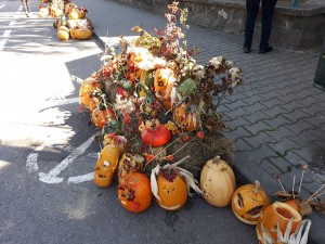 Fotó: Sármási-Bocskai János/Gazdaélet