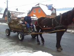 Fotó: Toth Béla/Agrárgazda