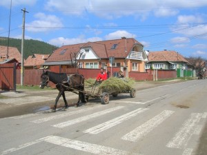 Fotó: Sármási-Bocskai János/Falu világa